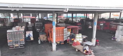 年貨市場消費(fèi)旺 菜籃子 供得上 確保群眾歡樂祥和過節(jié)